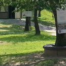 합천예술제 이미지