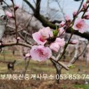 경보부동산중개사무소 네이버블로그