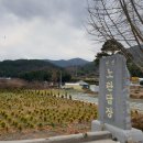 노란담장 네이버블로그