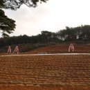 두리 종중 시제 모신날(2025,11.30)1. 이미지