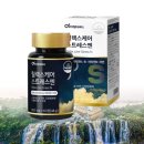 릴렉스 - 안성시 중앙로 387 | 릴렉스