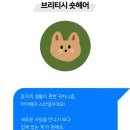 고양이 별 이미지