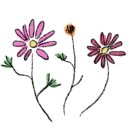 명곡동500 이미지