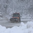 정부경북지방합동청사 앞 이미지