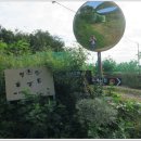 옥계시장 이미지