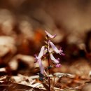 고남저수지 이미지