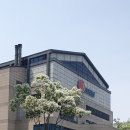 양재 직장인 스포타임 일일권 이용 후기