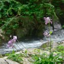 구천동 어사길 이미지