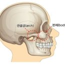 좋은 관상의 기본은 균형 잡힌 얼굴형에서 시작한다. 이미지