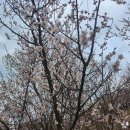 원동교통(주) 이미지