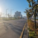 푸른들판로 이미지