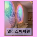 앨리스영어교실 | 앨리스어학원 시설과 맞춤 교육 만족도 높다