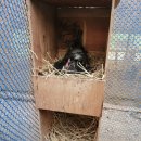 승모농장 이미지