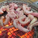 살아있는꼼장어 - 김해시 분성로512번길 4 | 살아있는꼼장어