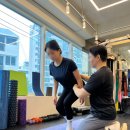 더바른피티 이미지