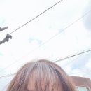 25년 02월 일상 기록용(2)