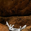 다올플러스 이미지