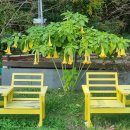 남파랑길 이미지