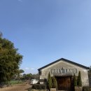 서부목장 | 제주 핫플 목장카페 “대한목장” 내돈내산 후기