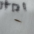 갈매중앙공원 이미지