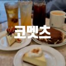 코멧츠 | [판교] 치즈케이크가 맛있는 판교 디저트카페 추천 코멧츠