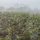 우하하농장 이미지