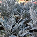 오후의 일상 스케치 이미지