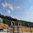 굿나잇도그 이미지