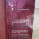 순수바이오 연구소 | [전주#2] 전주 가볼만한곳 경기전 어진박물관 태조 이성계 어진과 전주사고 역사 여행