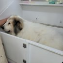 동명일박 이미지