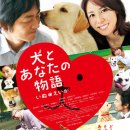 개와당신 이미지