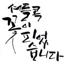 정담캘리그라피