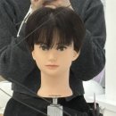 헤어니스트 이미지