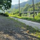 강변의 숲속 이미지