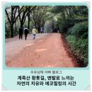 대전 계족산 황톳길, 맨발로 느끼는 자연의 치유와 에코힐링의 시간