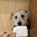 킨더그루밍 이미지