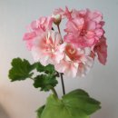 버거웍스 이미지