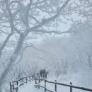 동고동락 이미지