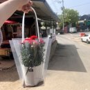 개야농장 이미지