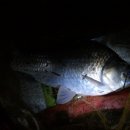 파라다이스모텔 이미지