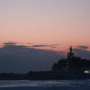 나무한그루 이미지