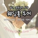 부산관광호텔컨벤션웨딩뷔페 | w1. 부산 웨딩홀 투어 솔직후기(목화웨딩컨벤션, 센텀호텔, 팔레드시즈 장단점 비교)