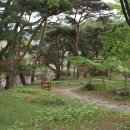 구례통나무펜션 이미지