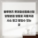 블루핸즈 롯데칠성음료신협양평분점 영등포 자동차검사소 믿고 맡길수 있는 곳