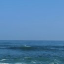 바다모은 이미지