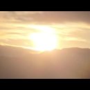 김수복농장 Daum카페