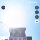 일선화 이미지