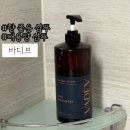 샴푸나라 | 예민한 산후 관리하는 두피 비듬을 위한 바디브 미오 샴푸 사용 솔직후기