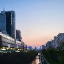 은아푸드 | [종로-동대문역] 맛과 멋이 공존하는 동대문시장 맛집 '은아네'