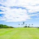 BEST 골프클럽 이미지